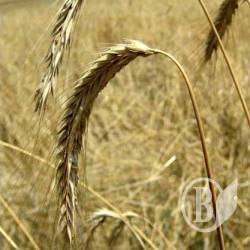 ���������� ���� - �����������!