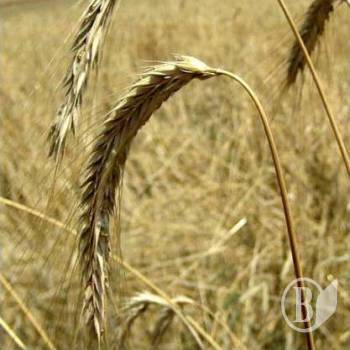 ���������� ���� - �����������!