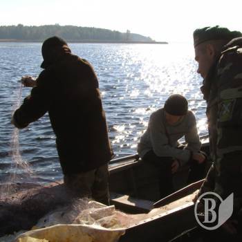 �������� ����� ������� �������������� ���������� �������