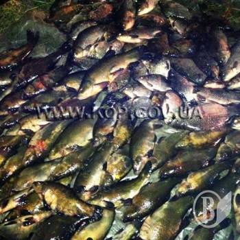 � �� �������������� ��������� ��� ���� � ����� �� 56-����� ����-������� (����) 