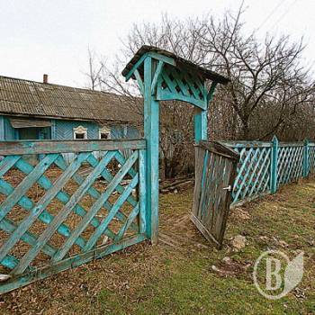 ������: ����� ���� ����� (����)