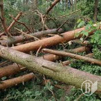 ��������� ��������� ���