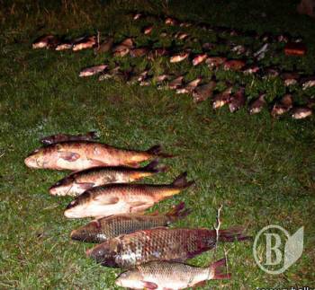  ������������� �� 20 �����