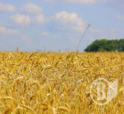 ����������  �� ����������� � ����! 