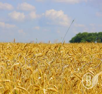 ����������  �� ����������� � ����! 