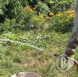  � ��������� �������� ������