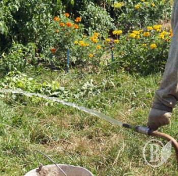  � ��������� �������� ������