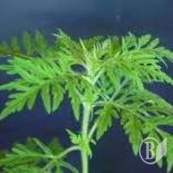 ��������! �������� �����!