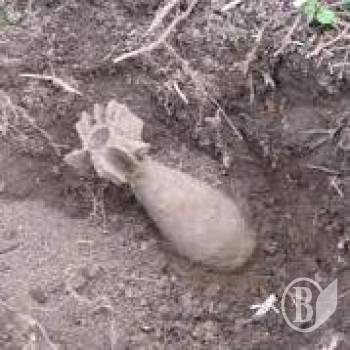 ��������� �����'� � ��������