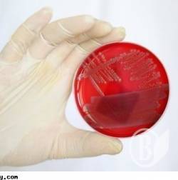 ������ ���������?