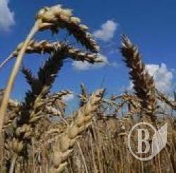 � ������ ��������!