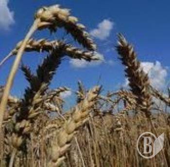 � ������ ��������!