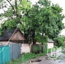 ������ ������ ������ �� ���