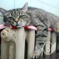 ���� �� ���� �����������