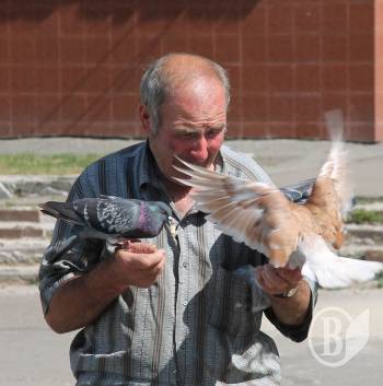  ����� � ������ (����)