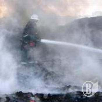 ̒���������� ������ 5 �����(����)