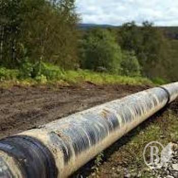 � � ��� ���������! � � ���?