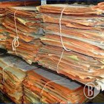 ������ �� ������� ���� (����)