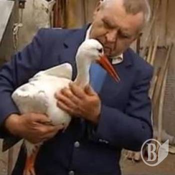 ������ ���������� ������ � ����� (����)