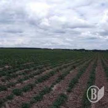 ��������� �������� ������������ ���� (����)