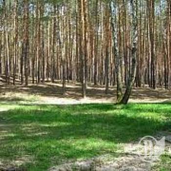 ��� �� � ���� ����� ��������� ������ ��������?(����)