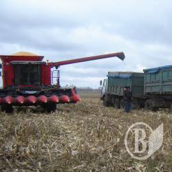 ��������� �� ����������� ������ � ������� ����(����)