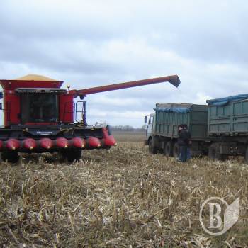 ��������� �� ����������� ������ � ������� ����(����)