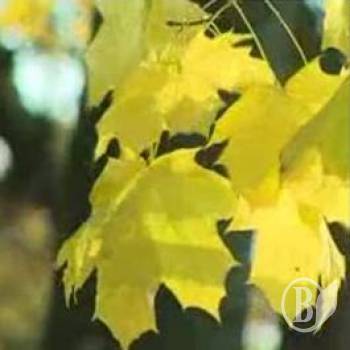 ����� ����� ��������� (����)