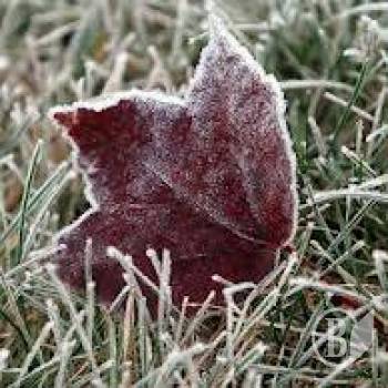 ����� ��������� (����)