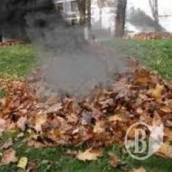 ����� �� ���������� ����� ������ �������� � 10 ����