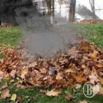 ����� �� ���������� ����� ������ �������� � 10 ����