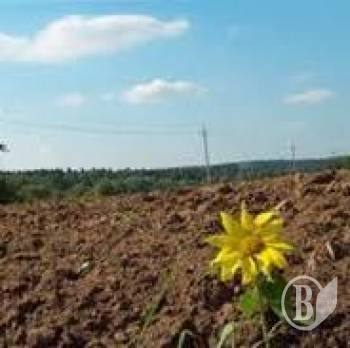 361 ������ ������� �� ������ ����