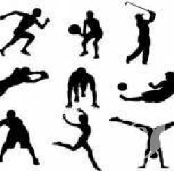 ������� ����������. ³������� �������(����)