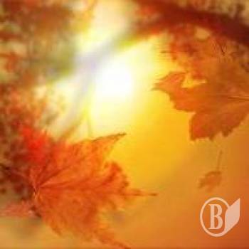 ������ ���. ����� �2 (����)