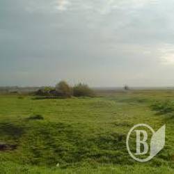 �� ����������� ������������ ���������� (����)