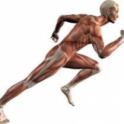 ����������� �� �������� (����)