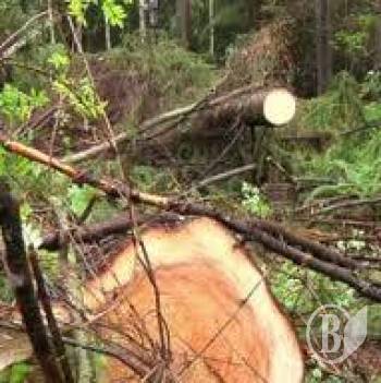 � ��������������� ������� ��������� ������