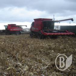 �� ������� ���� ����� ��������� �� �����������