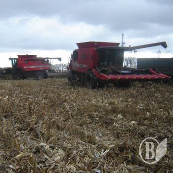 �� ������� ���� ����� ��������� �� �����������