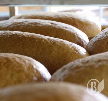  ���������� ����������: �������� ����!