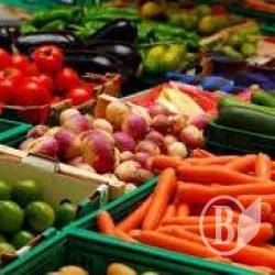 ֳ�� ���������