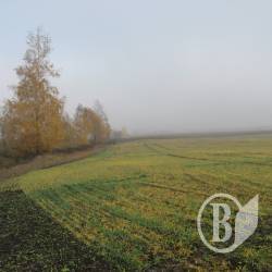 ������-������ �������������������� ���� ������� �� 2 ����