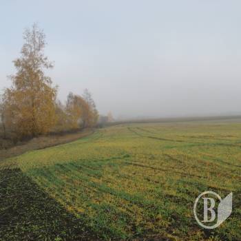 ������-������ �������������������� ���� ������� �� 2 ����