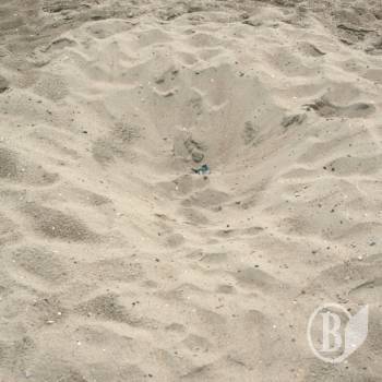 ������ ����� ��� �� 115 �����