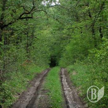 ������ ����� �������� (����)