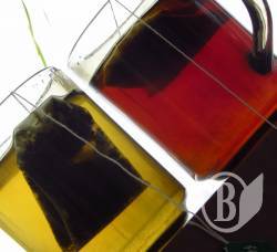  �� ������� ������ ���? ������ �������