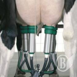 ³����������� �� ������ ���������