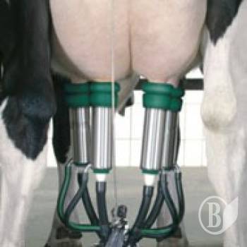 ³����������� �� ������ ���������