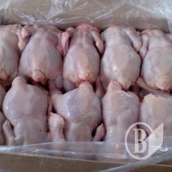 ���� ����� ���������� �������