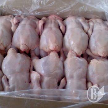 ���� ����� ���������� �������